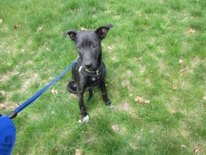 It's hard to get her to be still long enough for a photo