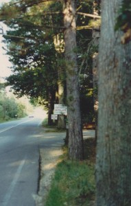 1979 The orchard sign when we bought the farm.